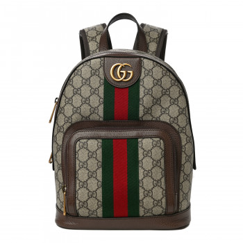 GUCCI GG Supreme Monogram Web Small Ophidia Day Backpack Brown